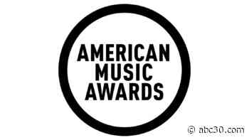 Bad Bunny, Lil Baby, Megan Thee Stallion to perform at 2020 American Music Awards