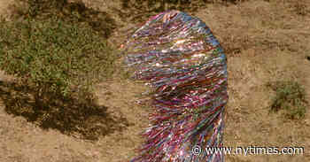 Mark Kanemura Brings His Mishmash Appeal to TikTok