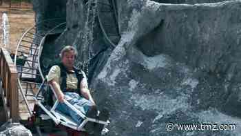 CA Man Recreates Disneyland Matterhorn Roller Coaster in Backyard