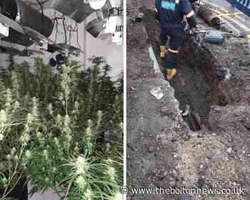 Police discovered cannabis farm and bypassed electricity