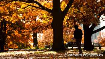 'Unprecedented' November warmth continues in southern Ontario, but for how much longer?