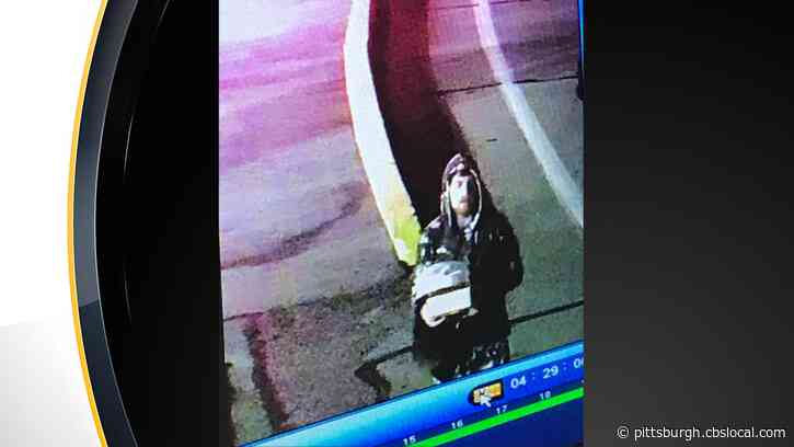State Police Seek Information In Alleged Dairy Queen Dilly Bar Theft