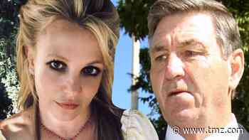 Britney Spears Claims Father Gave Business Manager Excessive $308k Raise