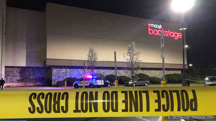 Man Pleads Guilty To Aggravated Assault In Connection With April 2019 Monroeville Mall Shooting