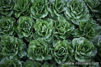 Romaine lettuce sold at Walmart recalled for E.coli