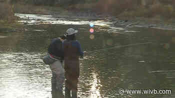 Buffalo Fly Co offering peaceful retreat from COVID