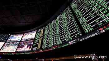 Midseason NFL betting report: Prime time 'dogs and overs shining