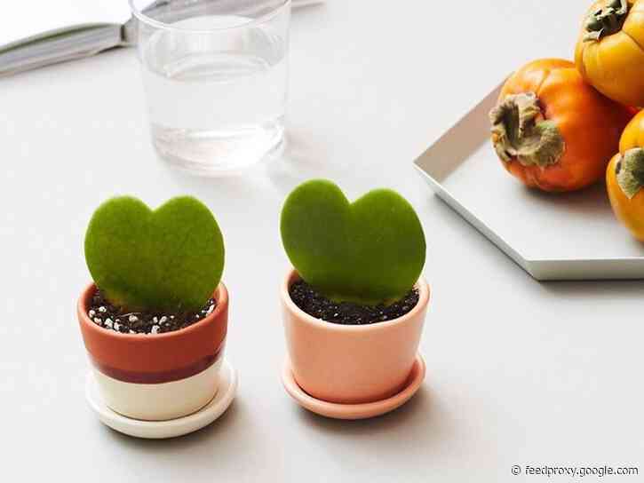 30 work-appropriate gifts for your boss — all under $50