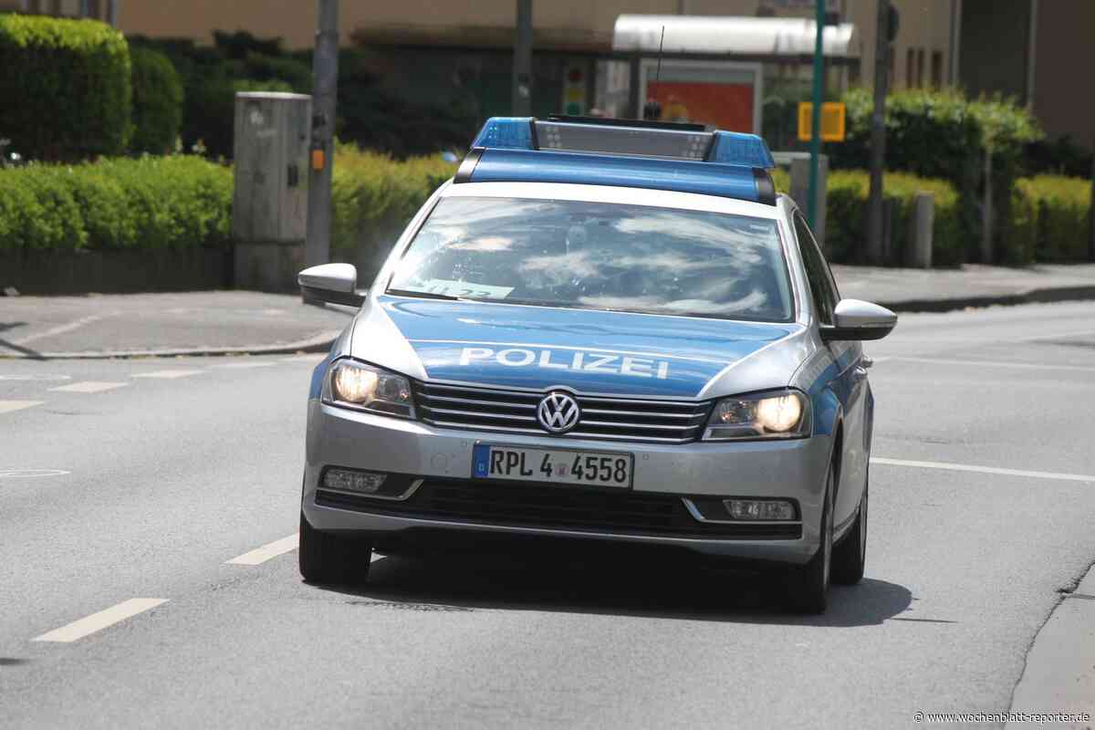 Schwerer Wildunfall auf der B9 bei Rheinzabern: Drei Fahrzeuge kollidieren, ein Schwerverletzter - Jockgrim - Wochenblatt-Reporter