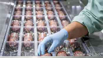 8 in 10 meat and dairy suppliers failing to act on climate change, investors claim