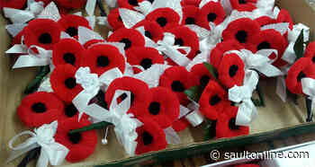 Scaled-down ceremonies mark Remembrance Day across Canada