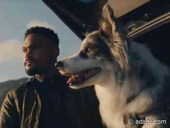 Watch the newest commercials on TV from Chewy, BMW, Chime and more