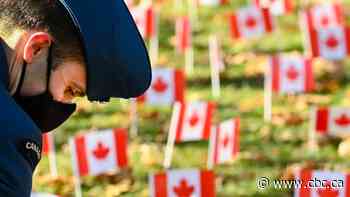 Scaled-down ceremonies mark Remembrance Day across Canada
