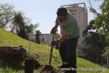 Mejoras en los espacios verdes durante la Pandemia - buenosaires.gob.ar