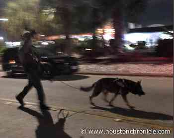 2 arrested after woman shot to death with AK-47 near Houston-area motel - Houston Chronicle