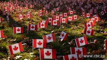 Ceremonies go online, but Remembrance Day endures in Toronto amid pandemic