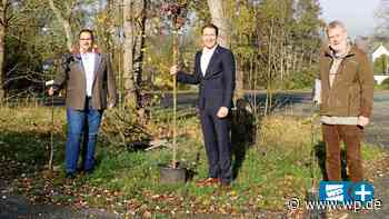 Neunkirchen: Junge Eltern bekommen Bäume trotz Corona - WP News