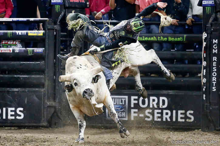 Professional Bull Riders’ World Finals: Can Anyone Catch Jose Vitor Leme?