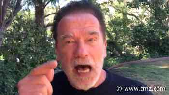 Arnold Schwarzenegger Pissed More People Don't Visit Deceased Vets