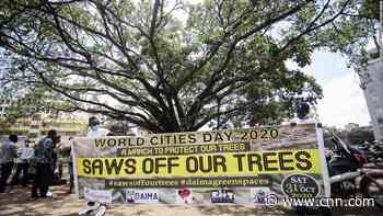 President saves century-old fig tree from being cut down for China-funded highway