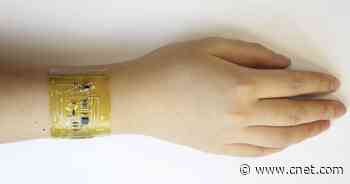 'Electronic skin' stretches, heals itself (and makes me dream of a cyborg future)     - CNET