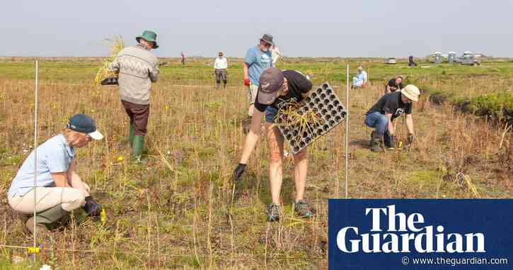 Dry run: the wet farming experiment that could sow seeds for future crops