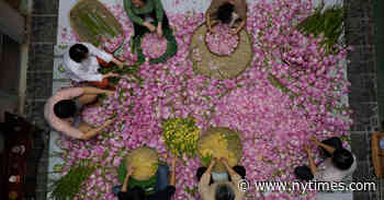 ‘Monsoon’ Review: Clouded Memories of Saigon