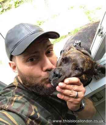 Haringey man's heartbreak after missing dog rehoused