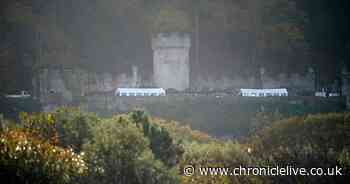 I'm A Celebrity bosses considering huge location shake up for show