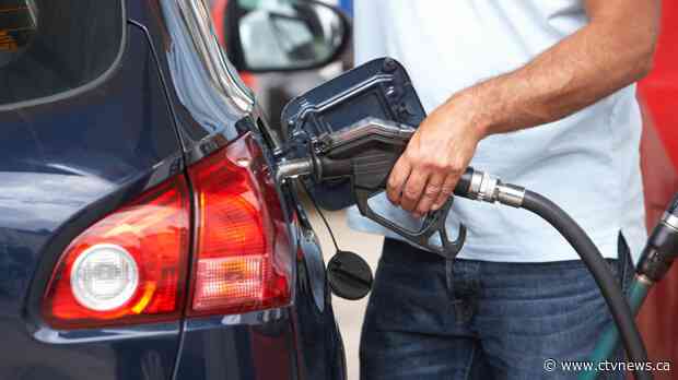 Shell gives customers option to offset their carbon emissions for two cents per litre