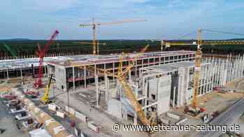 Tesla wirbt Chef von Mercedes ab – IG Metall wittert „Verrat“ - Wetterauer Zeitung