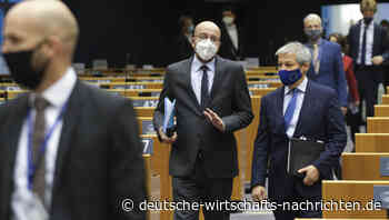 "Blanke Willkür": EU-Abgeordnete streiten um Corona-Regeln