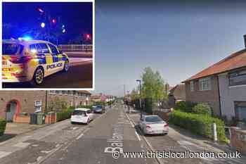 Woman arrested after police shut down Grove Park flat party