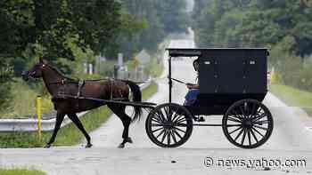 What we can learn from the Amish about coronavirus