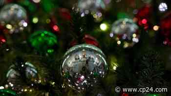 Tory 'optimistic' COVID-19 numbers will improve by Christmas - CP24 Toronto's Breaking News
