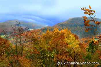 Arkansas is offering remote workers a $10,000 incentive to move to the Ozarks
