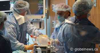 Coronavirus: Alberta doctor warns ICU could be at capacity within 2 weeks