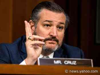 Ted Cruz joins right-wing chorus mocking Covid vaccine coverage following Trump’s defeat
