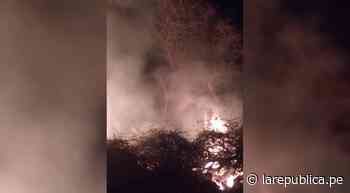 Lambayeque: quema de pastizales originó incendio forestal en Jayanca LRND - LaRepública.pe