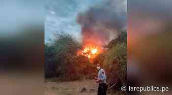 Lambayeque: Reportan incendio forestal en Jayanca | lrnd - LaRepública.pe