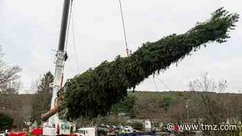 Rockefeller Center Christmas Tree En Route to NYC