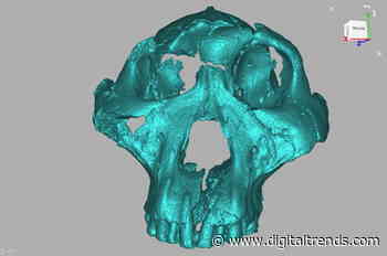 3D scanning sheds light on newly discovered 2-million-year-old fossilized skull