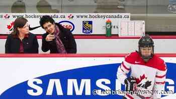 Canada's Haley takes on hockey hopes of Hungarian women - Lethbridge News Now