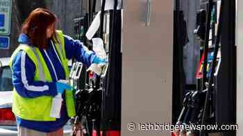 US consumer prices unchanged in October, lowest in 5 months - Lethbridge News Now