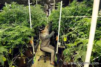 Haze Surrounds Cannabis Bill as Leaders Discuss Taxes