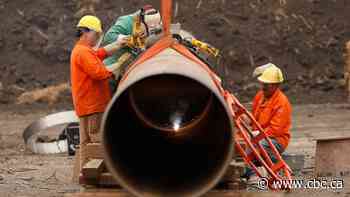 Minnesota grants key permits for Enbridge's Line 3 crude oil pipeline project