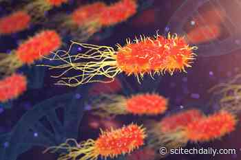 Evolution Favors New Epidemic Diseases of “Intermediate” Severity