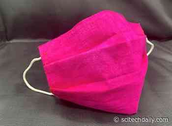 Disinfected by the Sun: New Cotton Face Mask Kills Up to 99.9999% of Bacteria and Viruses in Daylight