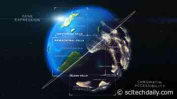 How Human Cells Grow and Develop Revealed Through New Molecular Atlases
