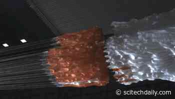 NASA Preparing to Land Mars Perseverance: 100 Days and 166 Million Miles to Go